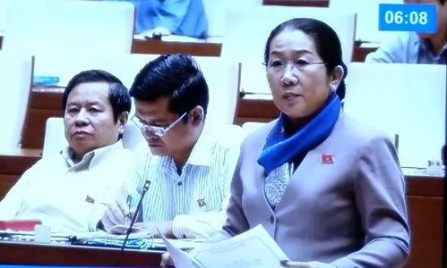 Cần quy định rõ những vấn đề đưa ra trưng cầu ý dân
